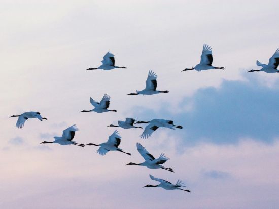 観光タクシー 阿寒湖周辺を巡る 7時間コース＜釧路市発＞4名参加で1名 11,300円～by 金星釧路観光ハイヤー