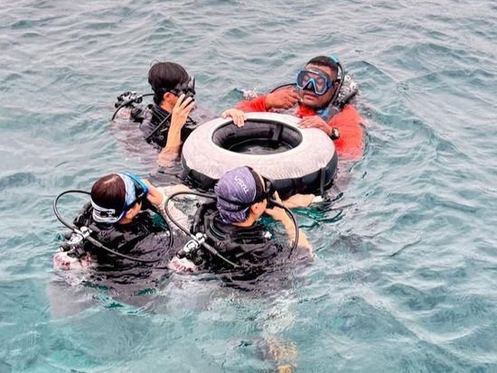 WhatsApp Image 2025-11-06 at 14_original.03.00 (6)