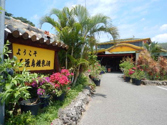 石垣島鍾乳洞入場券 20万年の自然が創り出す絶景スポット 幻想イルミネーションと水琴窟を楽しむ神秘体験＜購入後90日間引換OK／石垣市＞