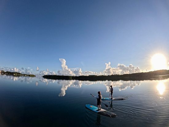 SUP繧ｯ繝ｫ繝ｼ繧ｹ繧・G0014323