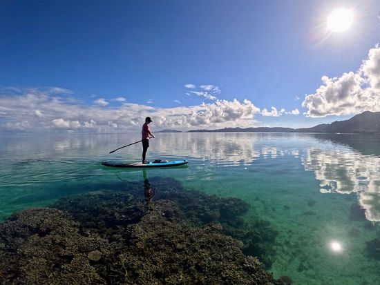 SUP繧ｯ繝ｫ繝ｼ繧ｹ繧・GPCA9166