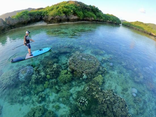 石垣島SUPツアー 選べる2プラン 初心者も安心の体験＆感動の海上クルージング＜少人数制／10歳～／石垣島市街地から無料送迎あり／写真プレゼント付き＞