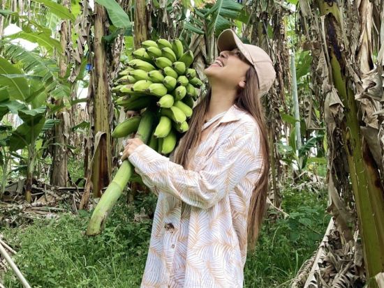 オーガニックファームツアー　野菜・果物収穫＆卵ピッキングなどでサステナブルを学ぶ＜火～木／日本語通訳＆ドライバーガイド／ゴールドコースト発＞