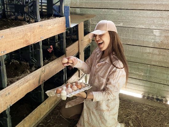 オーガニックファームツアー　野菜・果物収穫＆卵ピッキングなどでサステナブルを学ぶ＜火～木／日本語通訳＆ドライバーガイド／ゴールドコースト発＞