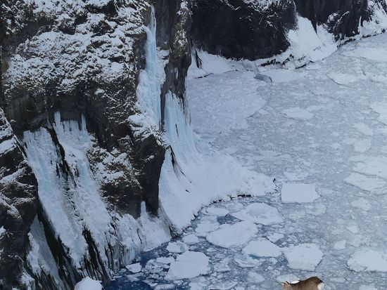 男の涙_冬_滝と鹿