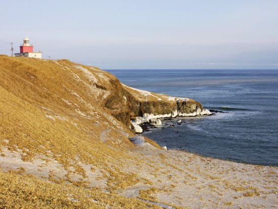 浜中ネイチャーツアー 北海道三大湿原の一つ"霧多布湿原"であなたの行きたいところ、見たいものに合わせてツアーを組み立てるオーダーメイドプラン＜2時間／浜中町＞