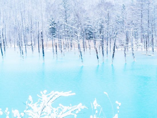 札幌発 富良野・美瑛日帰りバスツアー 安田侃彫刻美術館＋美瑛町＋青い池＋ふらのワイン工場＜7～11月／札幌市内発着＞