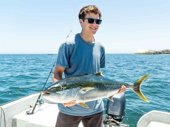 shutterstock_2602746745