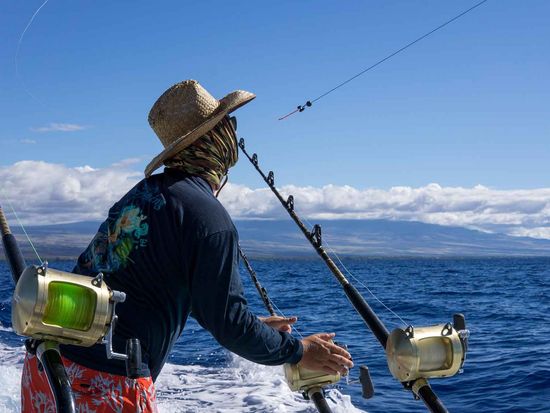 shutterstock_2086820830