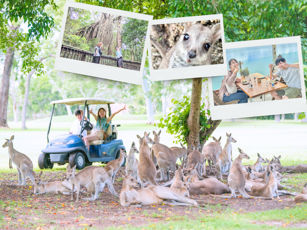 ヴィンテージ サファリ 野生動物達のオアシス ロングカーテン セピア アメリカ 20251115050332_1369302009_1744
