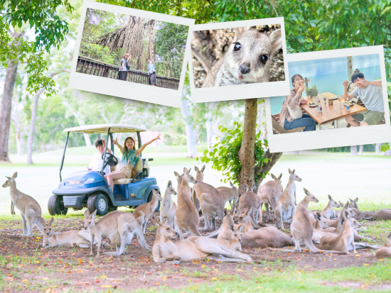 アサートン高原完全ガイド！野生動物探し＆カンガルーカート決定版＜混載／日本語／ケアンズ発＞