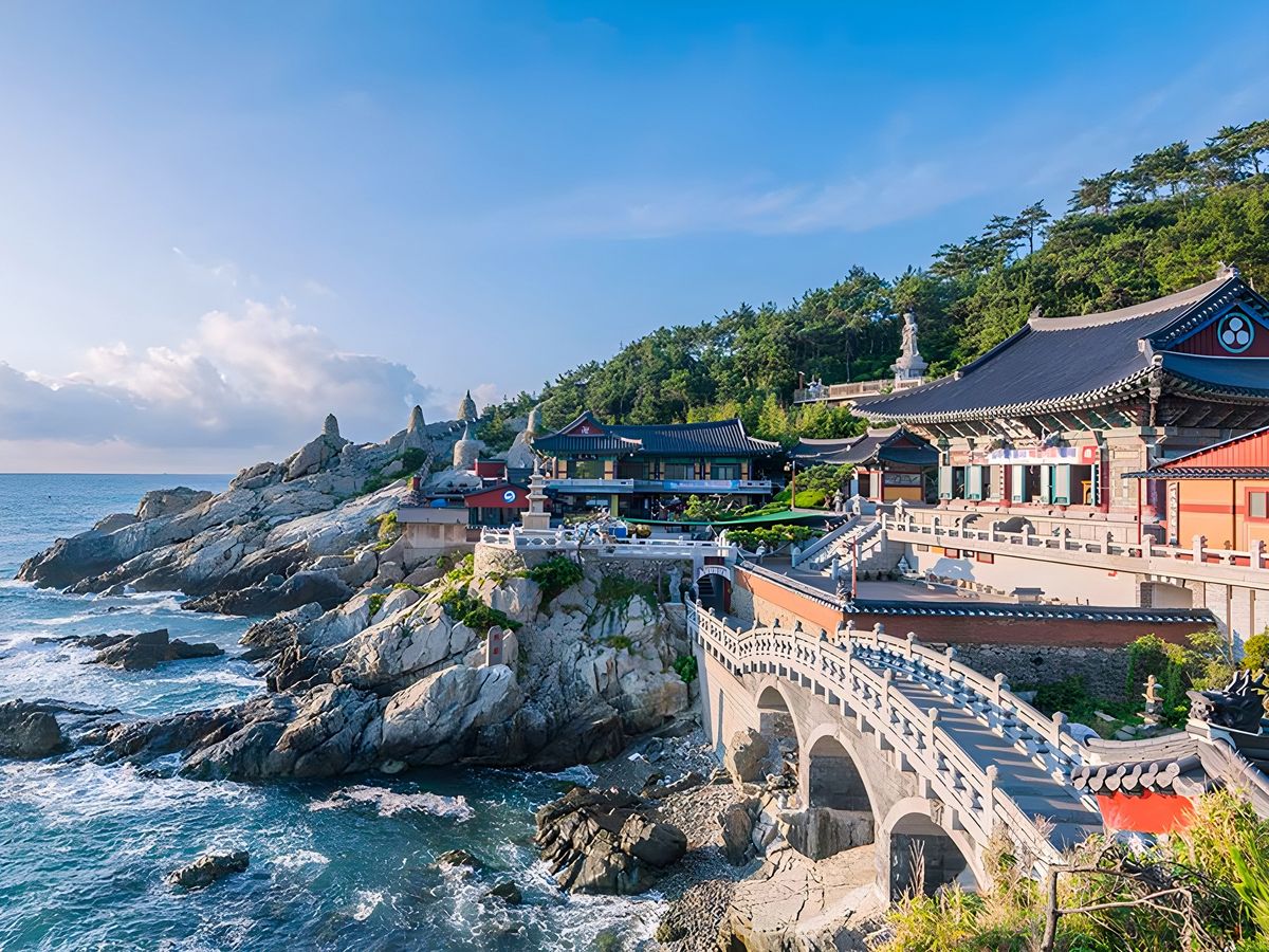 一人旅おすすめツアー | 韓国 旅行の観光・オプショナルツアー予約