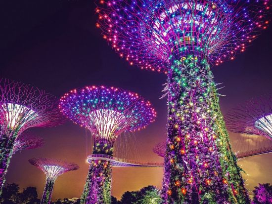 シンガポール夜景満喫ツアー　ガーデンズ・バイ・ザ・ベイでガーデン・ラプソディー観賞＋オープントップバス＋リバーボート体験を満喫！＜日本語ガイド＞