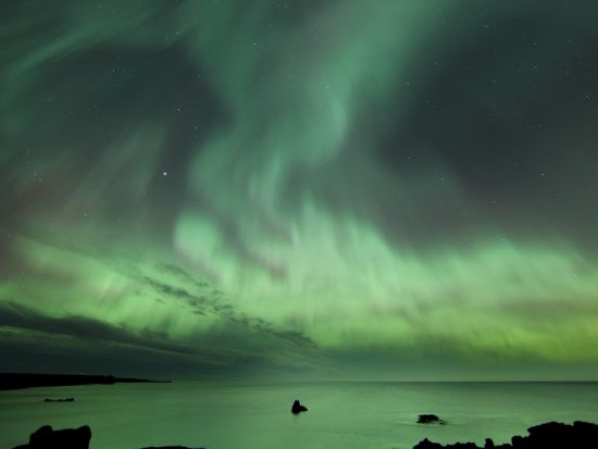 経験豊富なガイドと行く！オーロラ観賞ツアー　少人数制プランあり＜英語／レイキャビーク発＞