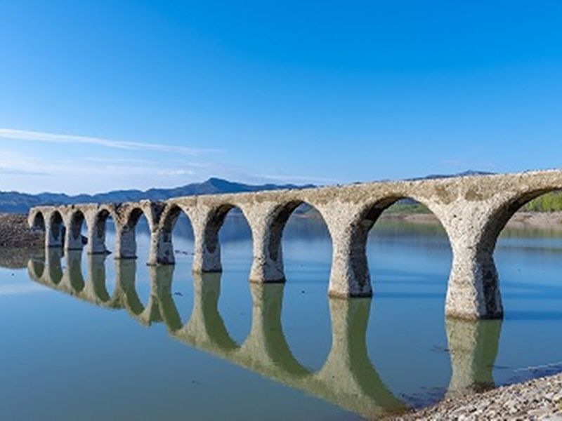 ダウンロード (21)