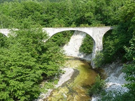 ダウンロード (23)