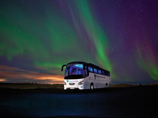 経験豊富なガイドと行く！オーロラ観賞ツアー　少人数制プランあり＜英語／レイキャビーク発＞
