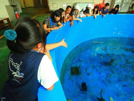 Overnight Experience at Pingtung Aquarium13