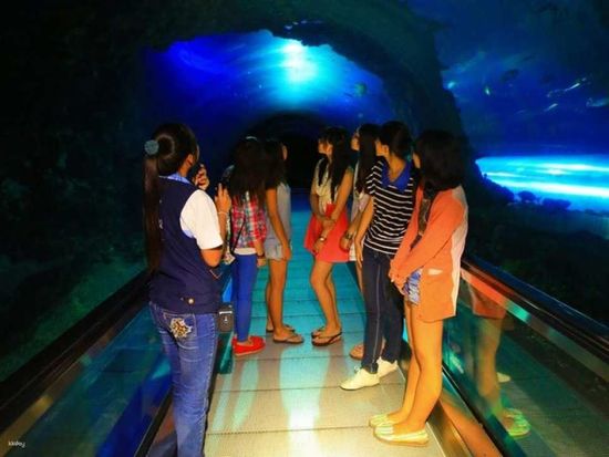 Overnight Experience at Pingtung Aquarium14