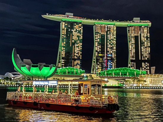 シンガポールナイトツアー　スペクトラ鑑賞クルーズ＋絶景ルーフトップバーを満喫！チリクラブの夕食や軽食付きプランあり＜日本語ガイド＞