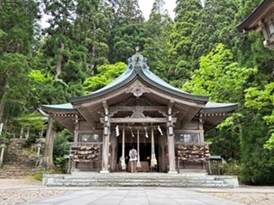 ダウンロード (13)