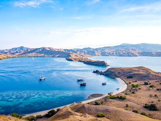 Komodo_pixta_44629804_M