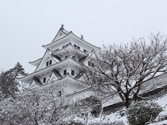 冬の郡上八幡③ (1)