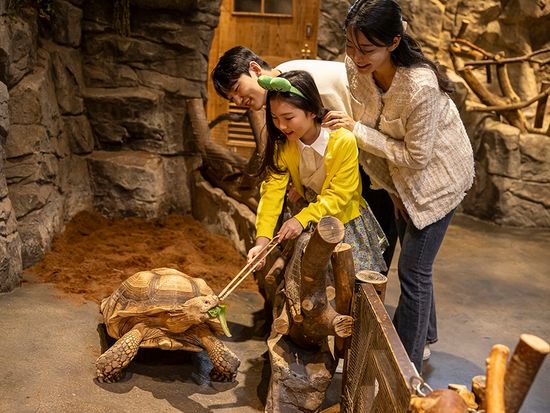 ジュロンジュロン3