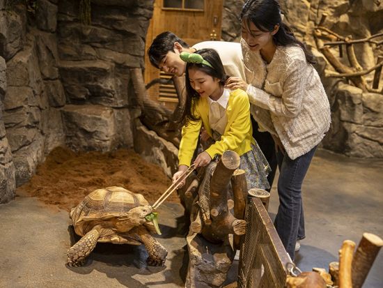 室内動物園「ジュロンジュロン（Zoolung Zoolung）」入場チケット事前購入サービス　雨の日も安心！動物たちとのふれあい体験を満喫 ＜永登浦＞