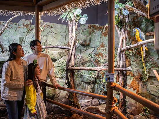 ジュロンジュロン2