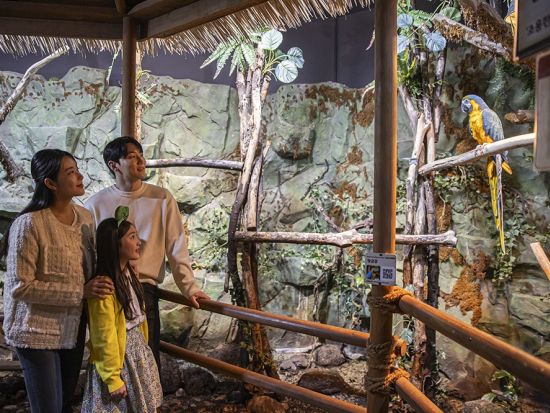 室内動物園「ジュロンジュロン（Zoolung Zoolung）」入場チケット事前購入サービス　雨の日も安心！動物たちとのふれあい体験を満喫 ＜永登浦＞