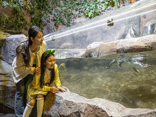 ジュロンジュロン6