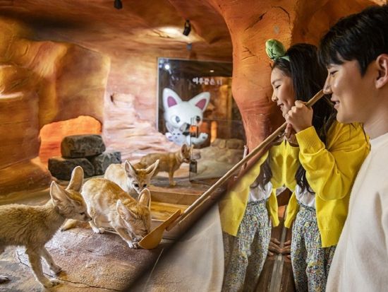 室内動物園「ジュロンジュロン（Zoolung Zoolung）」入場チケット事前購入サービス　雨の日も安心！動物たちとのふれあい体験を満喫 ＜永登浦＞