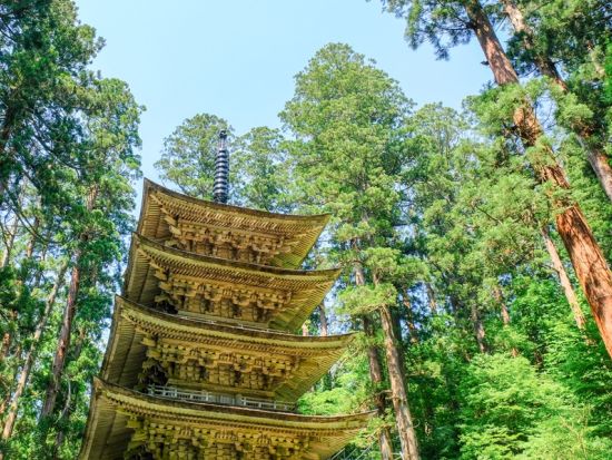 仙台発1泊2日バスツアー 山形の桜とリニューアル加茂水族館 あつみ温泉滞在の癒し旅＜高見屋別邸 久遠宿泊／仙台駅発着＞ by クラブツーリズム