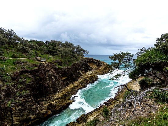 Brisbane_Gorge Walk_pixta_84846180_M