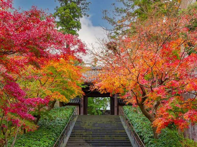 Japan_Autumn_Engakuji Temple _pixta_97092681_M