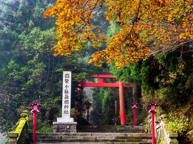 Japan_Autumn_Hakone Shrine Third Torii_pixta_75917463_M