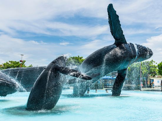Taiwan_Kenting (墾丁)_National Museum of Marine Biology and Aquarium_AdobeStock_961221109
