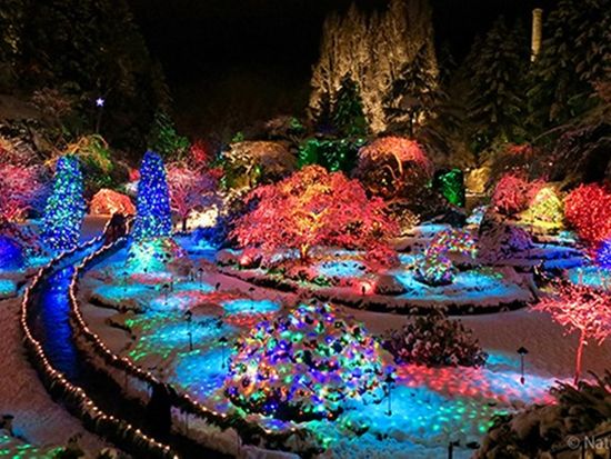 Butchart-Gardens-Christmas-02-60