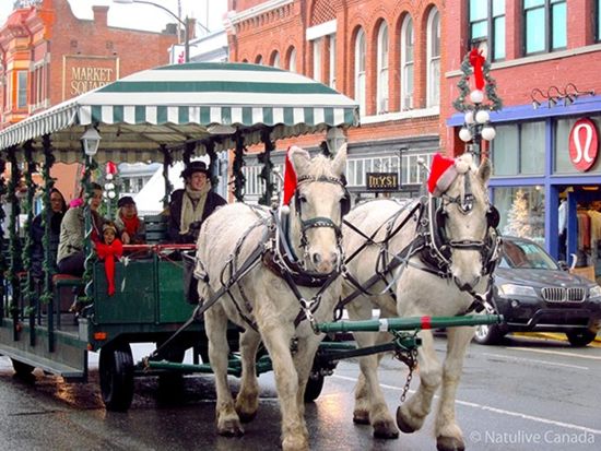 ビクトリア＆ブッチャートガーデン　日帰り観光ツアー ＜3～11月／日本語ドライバーガイド／バンクーバー発＞