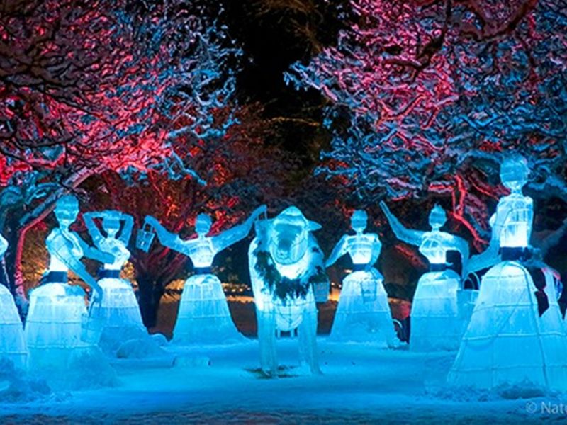 Butchart-Gardens-Christmas-03-60