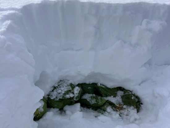 スクリーンショット 2025-11-20 133322