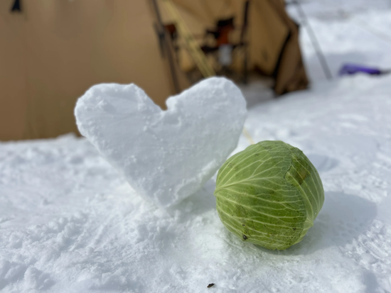 スクリーンショット 2025-11-20 133259