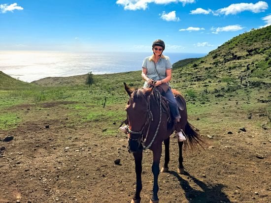 乗馬体験(1.5時間)　ワイアナエ山脈の豊かな森と丘の上から望むオーシャンビューを体験！サンセットプランあり＜現地集合＞の写真5