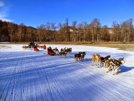 冬のテレルジで出会う、大自然とスノーアクティビティ満載の2日間