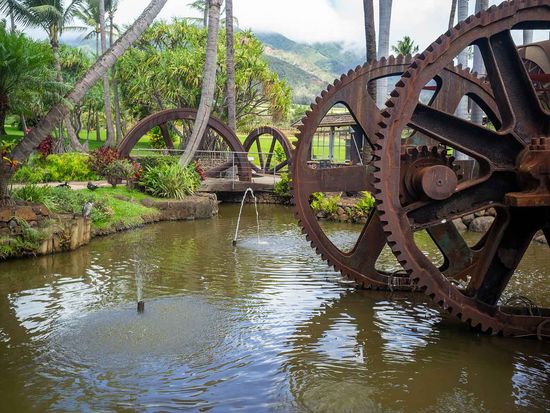 shutterstock_2654403727