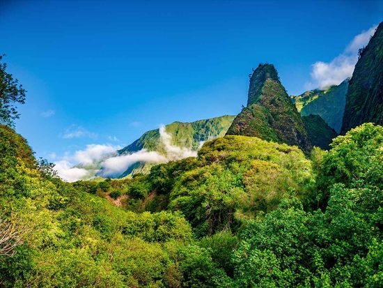 shutterstock_2220707353