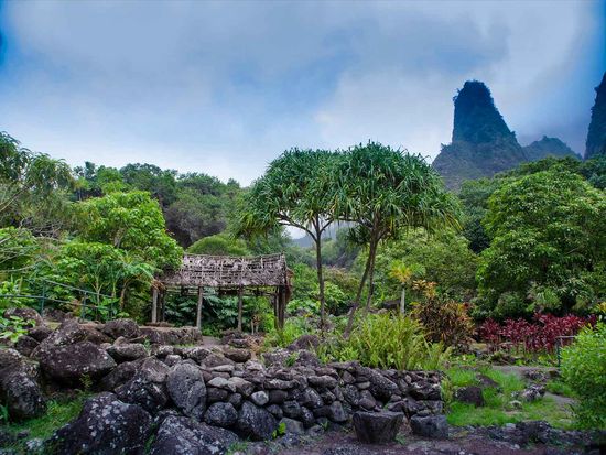 shutterstock_1281477997