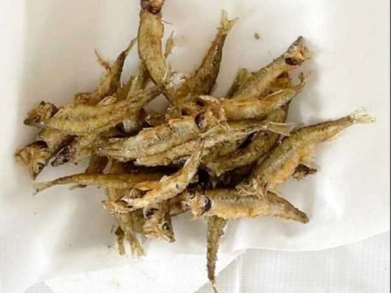 札幌ワカサギ釣りツアー Sapporo Ice Fishing tour 6