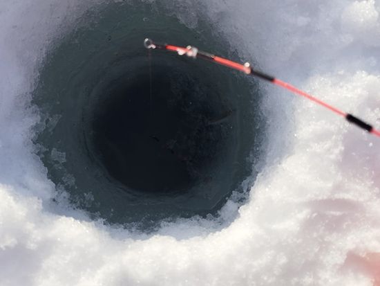 札幌ワカサギ釣りツアー Sapporo Ice Fishing tour 5